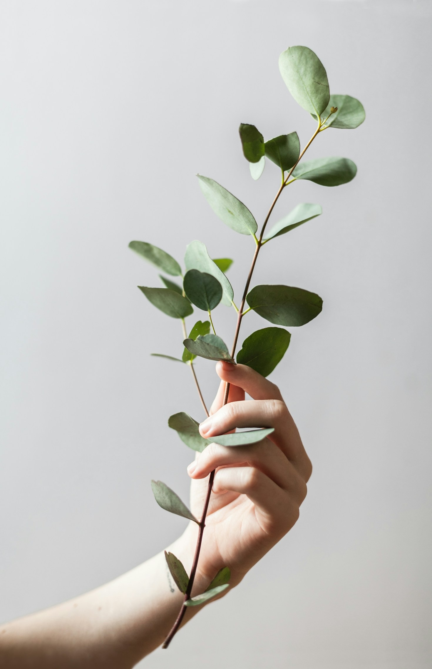 Balancing Work and Play: A Personal Viewpoint